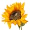 12 Pack: Gold Sunflower Stem by Ashland®